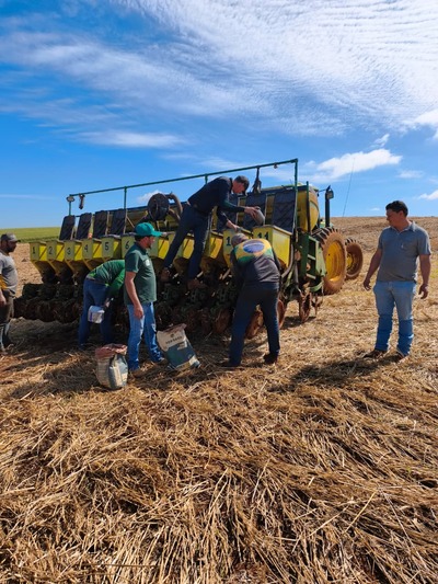 Coprossel realiza plantio de campo demonstrativo de milho verão em Porto Barreiro